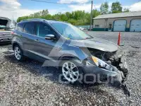 2013 Ford ESCAPE photo