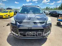 2013 Ford ESCAPE фото