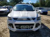 2013 Ford ESCAPE photo