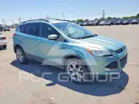 2013 Ford ESCAPE photo