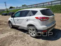 2013 Ford ESCAPE фото