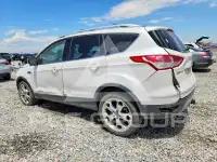 2013 Ford ESCAPE photo