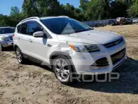 2013 Ford ESCAPE photo