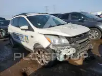 2013 Ford ESCAPE photo