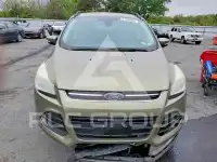 2013 Ford ESCAPE фото