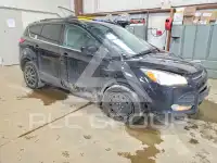 2013 Ford ESCAPE фото