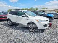 2013 Ford ESCAPE photo