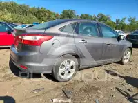 2013 Ford FOCUS photo