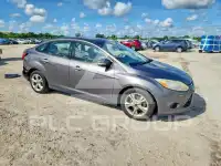 2013 Ford FOCUS фото