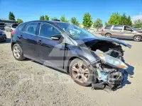 2013 Ford FOCUS фото