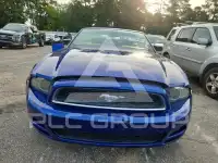 2013 Ford MUSTANG фото