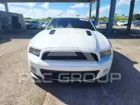 2013 Ford MUSTANG photo