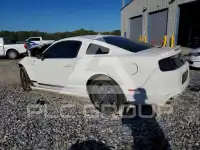 2013 Ford MUSTANG photo