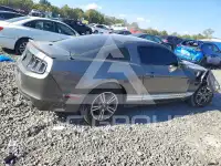 2013 Ford MUSTANG фото