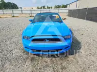 2013 Ford MUSTANG photo