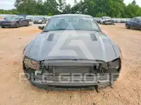 2013 Ford MUSTANG фото