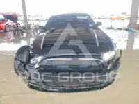 2013 Ford MUSTANG фото