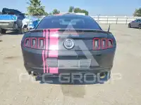 2013 Ford MUSTANG photo