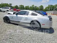 2013 Ford MUSTANG photo
