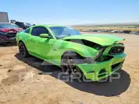 2013 Ford MUSTANG фото