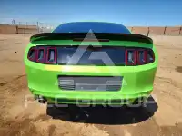 2013 Ford MUSTANG фото