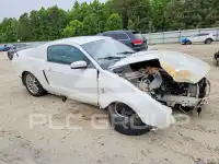 2013 Ford MUSTANG фото