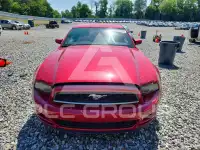 2013 Ford MUSTANG фото