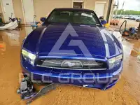 2013 Ford MUSTANG фото