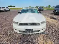 2013 Ford MUSTANG photo