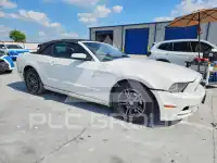 2013 Ford MUSTANG photo