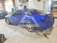 2013 Ford MUSTANG фото