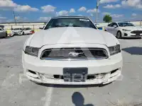 2013 Ford MUSTANG photo