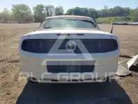 2013 Ford MUSTANG photo