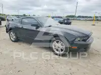 2013 Ford MUSTANG фото