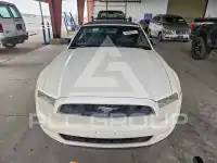 2013 Ford MUSTANG фото