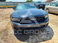 2013 Ford MUSTANG фото
