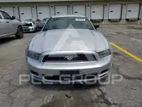 2013 Ford MUSTANG фото