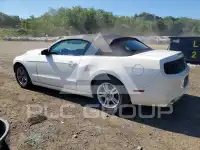 2013 Ford MUSTANG photo