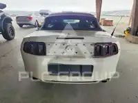 2013 Ford MUSTANG фото