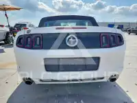 2013 Ford MUSTANG photo