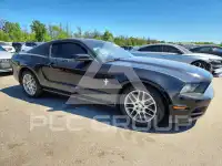 2013 Ford MUSTANG фото