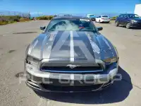 2013 Ford MUSTANG фото