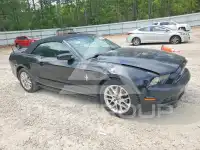 2013 Ford MUSTANG фото