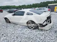 2013 Ford MUSTANG фото