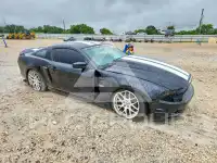 2013 Ford MUSTANG фото