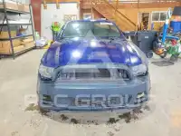 2013 Ford MUSTANG фото