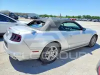 2013 Ford MUSTANG photo