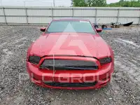 2013 Ford MUSTANG фото