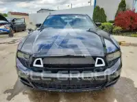 2013 Ford MUSTANG photo