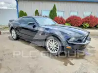 2013 Ford MUSTANG photo